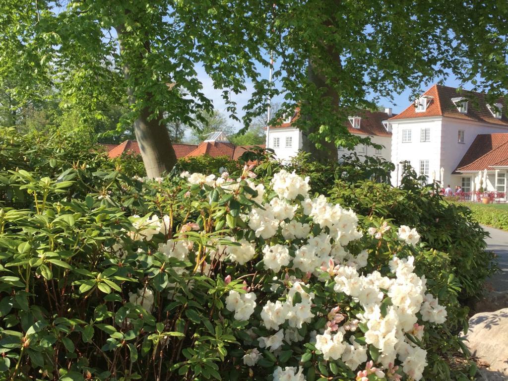 Готель Rungstedgaard Екстер'єр фото